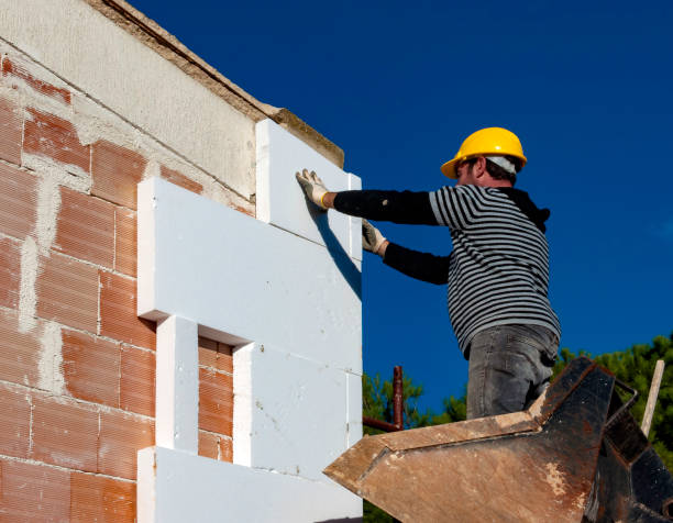 Best Geographic-Specific Insulation Services in Meridianville, AL