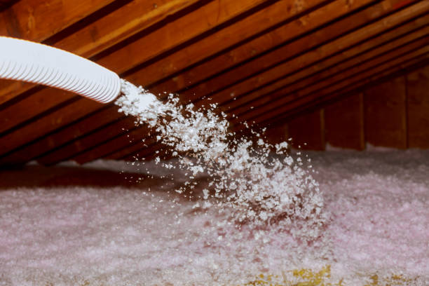 Best Specialized Insulation Services in Meridianville, AL
