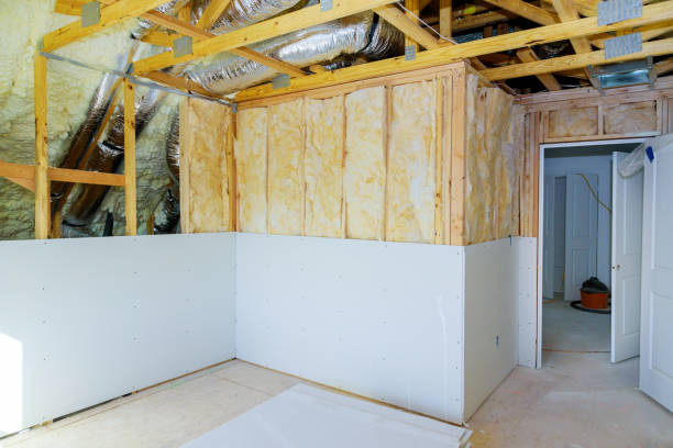 Best Insulation Maintenance and Repair in Meridianville, AL