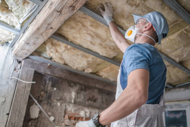 Professional Insulation Contractor in Meridianville, AL
