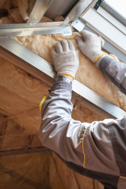 Best Cellulose Insulation in Meridianville, AL