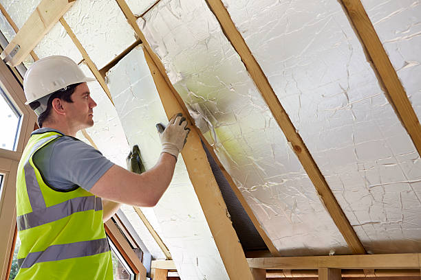 Types of Insulation We Offer in Meridianville, AL