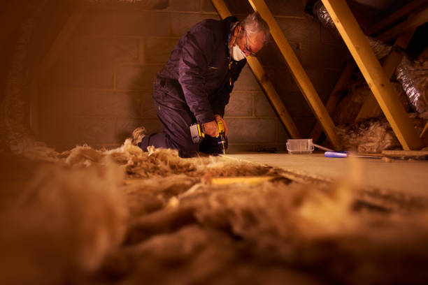 Best Eco-Friendly Insulation in Meridianville, AL